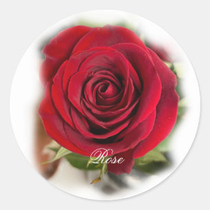 Rose Sticker Envelope Seals