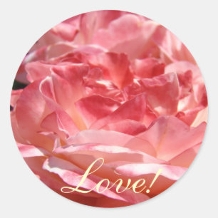 Rose stickers Pink Roses Love stickers