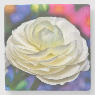 Rose Stone Coaster