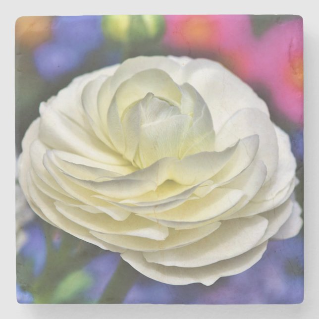 Rose Stone Coaster (Front)