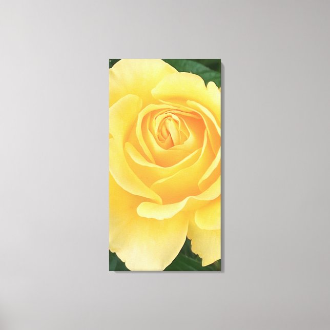 Rose Stretched Canvas Print (Front)