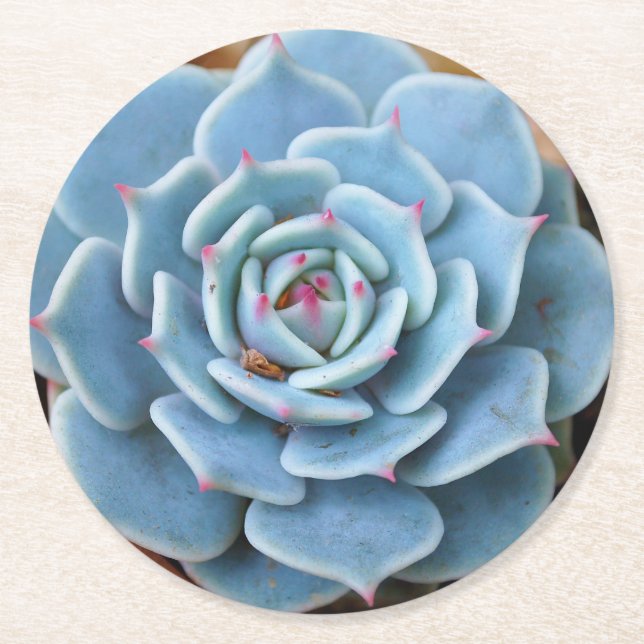 Rose Succulent Round Coaster (Front)