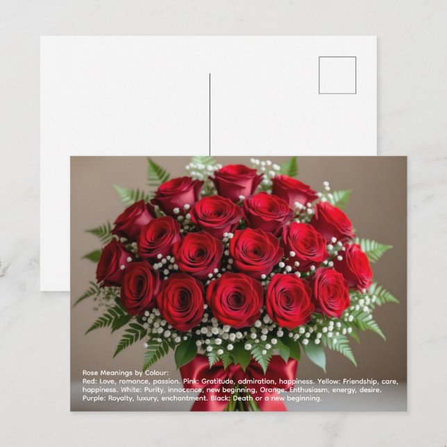 Rose Symbolism Postcard (Front/Back)