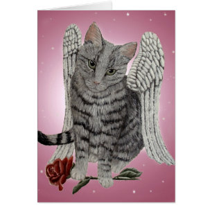 Rose, the Angel Cat