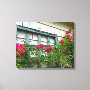 Rose Trellis - Martha's Vineyard Canvas Print