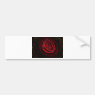 Rose Vines Heart Pattern Flower Peace Love Destiny Bumper Sticker
