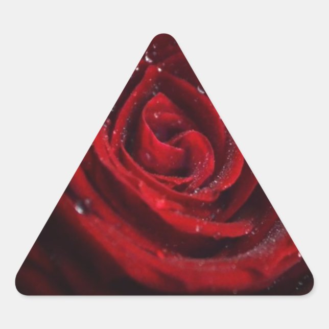 Rose Vines Heart Pattern Flower Peace Love Destiny Triangle Sticker (Front)