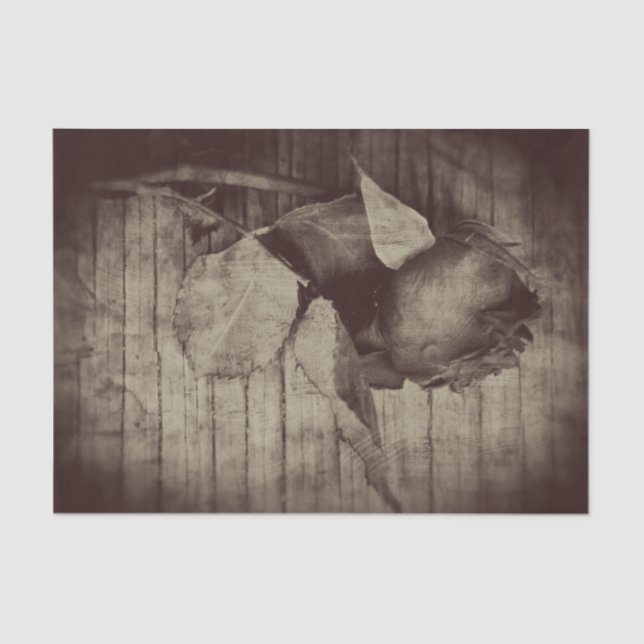 Rose Vintage Antique Sepia Brown Decoupage Tissue Paper (Front)