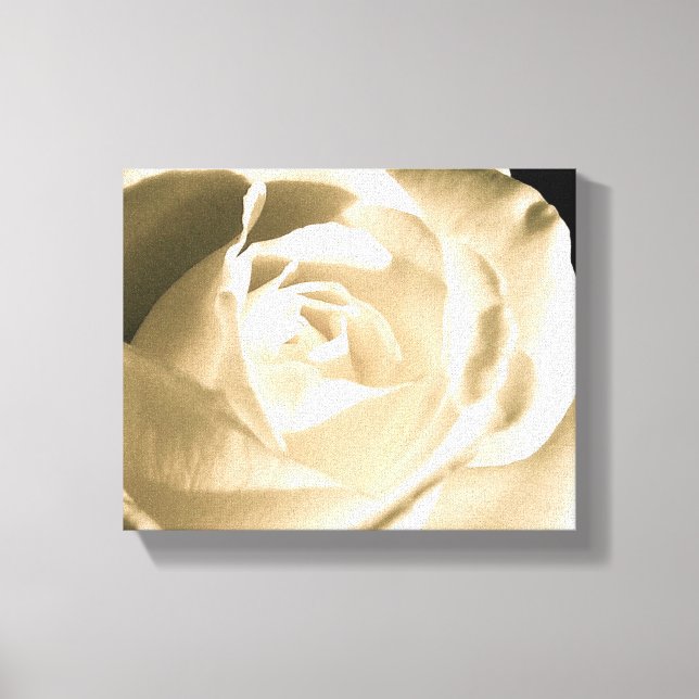 Rose White Canvas Print (Front)