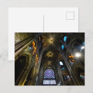 Rose Window Ceiling Notre Dame Cathedral Postcard