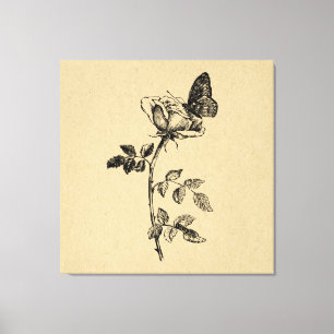 Rose with Butterfly Vintage Art Canvas Print