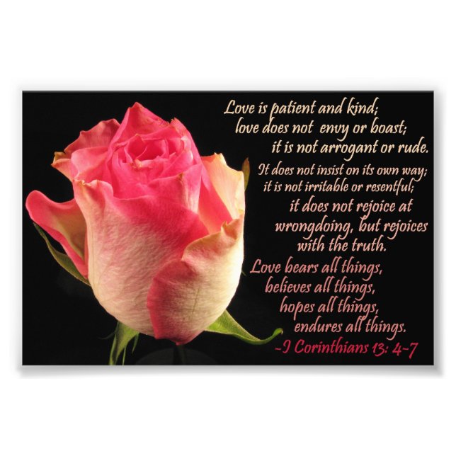 Rose with I Cor. 13: 4-7 Photo Print (Front)