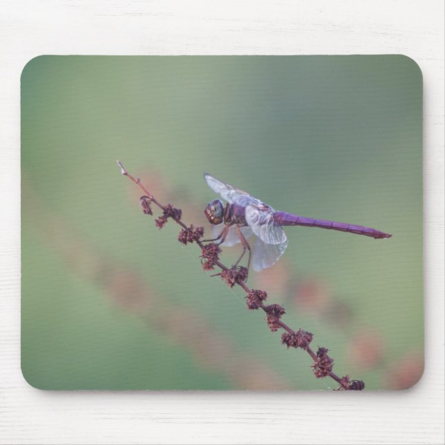 Roseate  skimmer dragonfly mouse mat (Front)