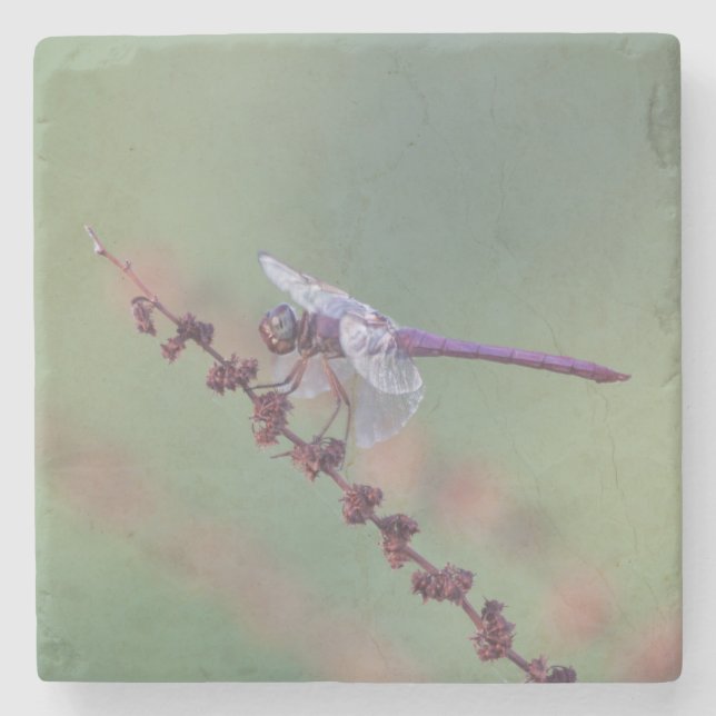 Roseate skimmer dragonfly stone coaster (Front)