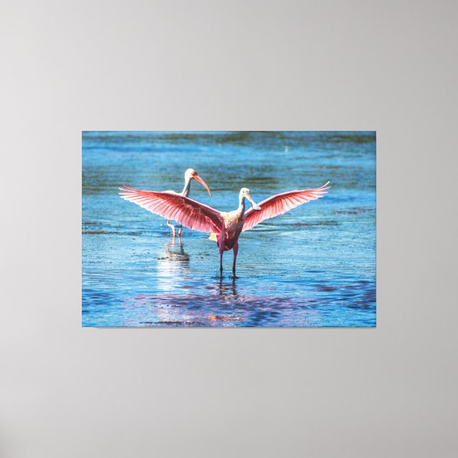 ROSEATE SPOONBILL 60 X 40 WRAPPED CANVAS PRINT (Front)