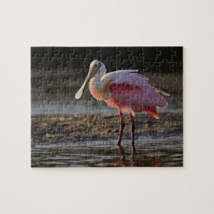 Roseate Spoonbill, Ajaia ajaja, Ding Darling Jigsaw Puzzle