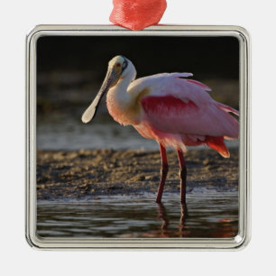 Roseate Spoonbill, Ajaia ajaja, Ding Darling Metal Tree Decoration