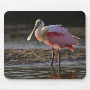Roseate Spoonbill, Ajaia ajaja, Ding Darling Mouse Mat