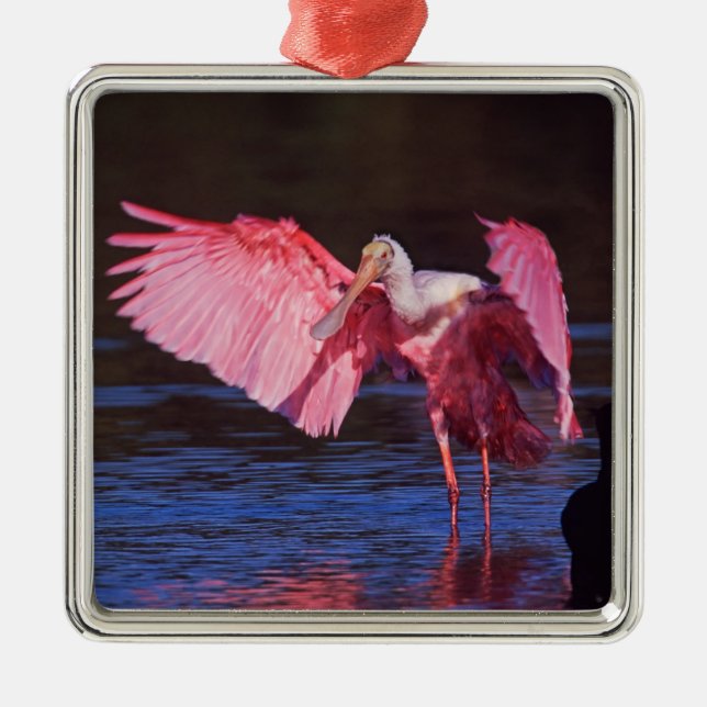 Roseate Spoonbill (Ajaia ajaja) with Cormorant Metal Tree Decoration (Front)