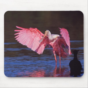 Roseate Spoonbill (Ajaia ajaja) with Cormorant Mouse Mat