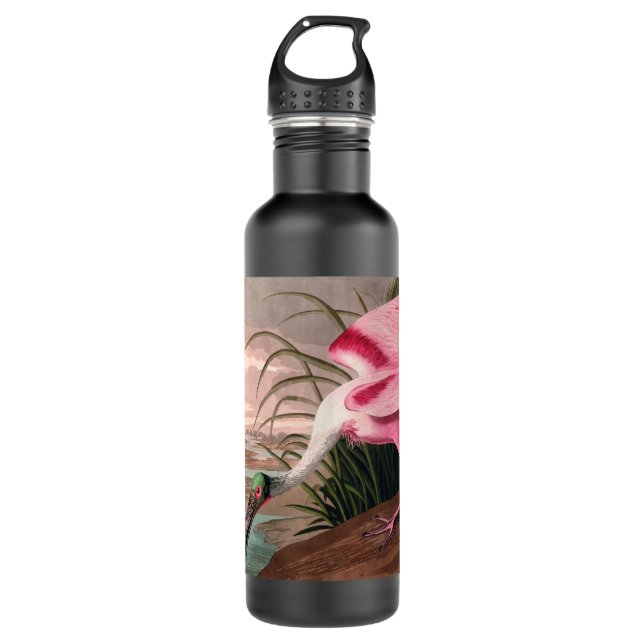 Roseate Spoonbill Audubon Bird Wildlife 710 Ml Water Bottle (Front)