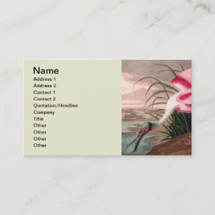 Roseate Spoonbill Audubon Bird Wildlife Business Card