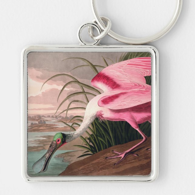 Roseate Spoonbill Audubon Bird Wildlife Key Ring (Front)