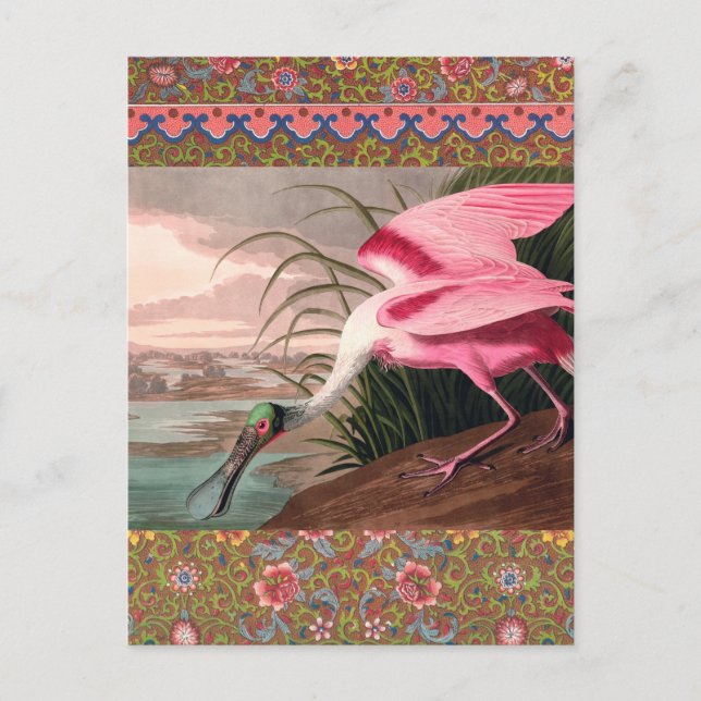 Roseate Spoonbill Audubon Bird Wildlife Postcard (Front)