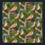 Roseate Spoonbill - Bandana - Tld<br><div class="desc">Roseate Spoonbill - Bandana - Tld</div>