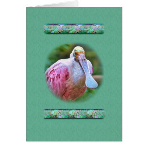 Roseate Spoonbill Bird Card
