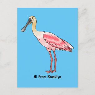 Roseate spoonbill bird cartoon illustration postcard
