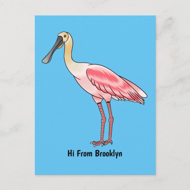 Roseate spoonbill bird cartoon illustration  postcard (Front)