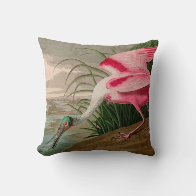 Roseate Spoonbill Birds of America Audubon Print Cushion (Front)