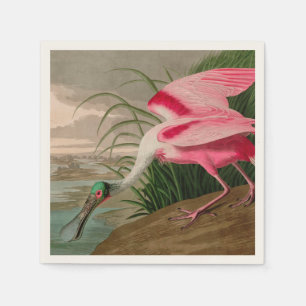 Roseate Spoonbill Birds of America Audubon Print Napkin