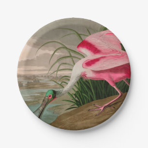 Roseate Spoonbill Birds of America Audubon Print Paper Plate