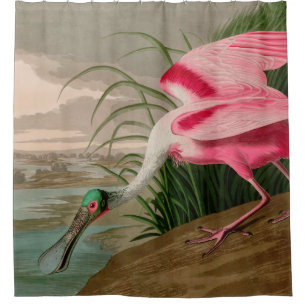 Roseate Spoonbill Birds of America Audubon Print Shower Curtain