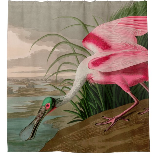 Roseate Spoonbill Birds of America Audubon Print Shower Curtain (Front)