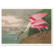 Roseate Spoonbill Birds of America Audubon Print