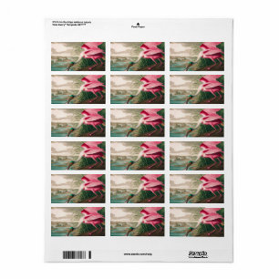 Roseate Spoonbill by John James Audubon Label