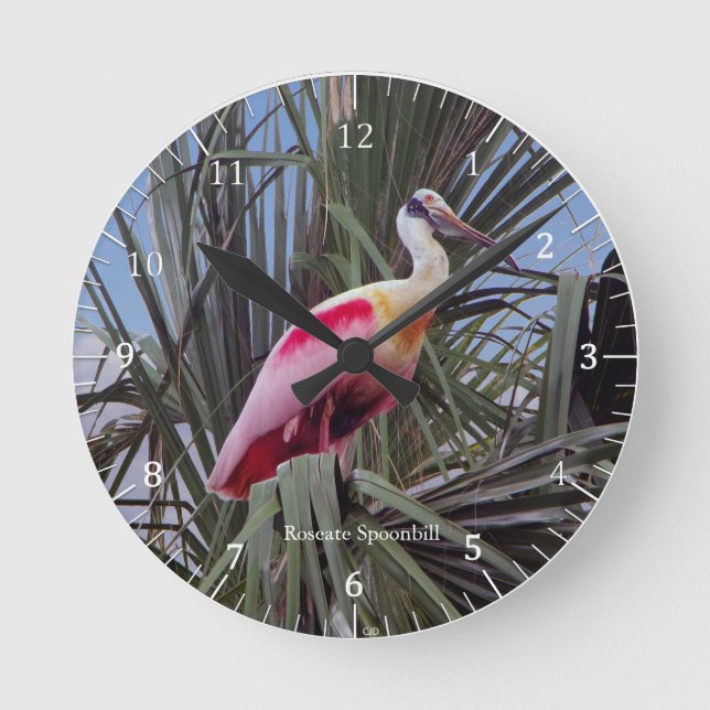 Roseate Spoonbill clock (Front)
