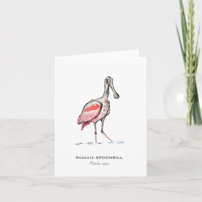 Roseate Spoonbill Folded Note Card (Front)