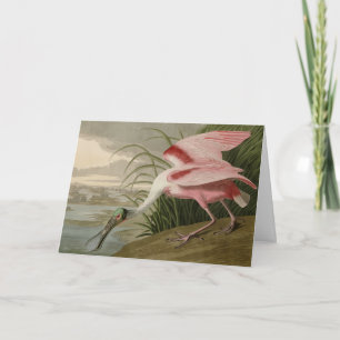 Roseate Spoonbill from Audubon's Birds of America Card