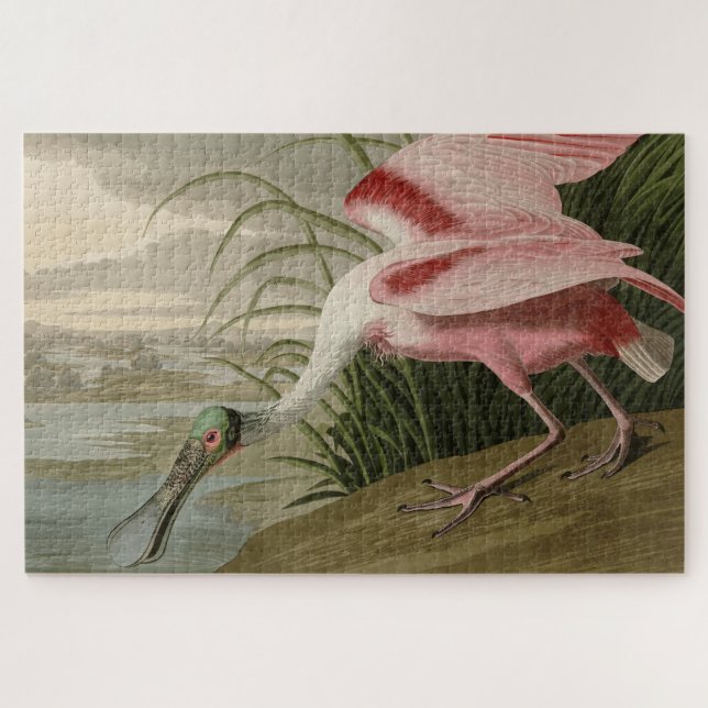 Roseate Spoonbill from Audubon's Birds of America Jigsaw Puzzle (Horizontal)