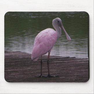 Roseate Spoonbill Mouse Mat