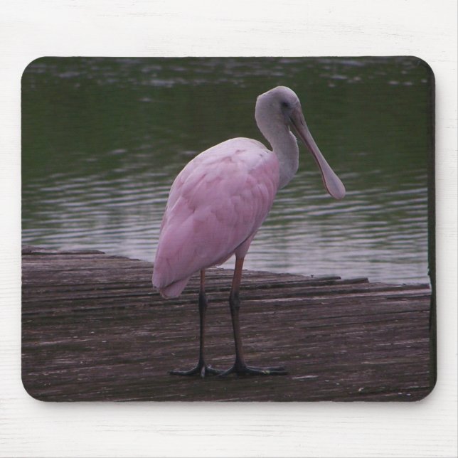 Roseate Spoonbill Mouse Mat (Front)