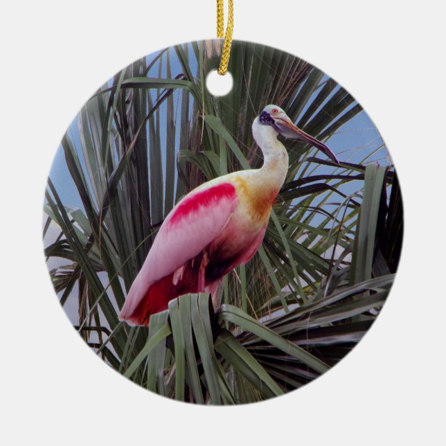 Roseate Spoonbill ornament (Front)