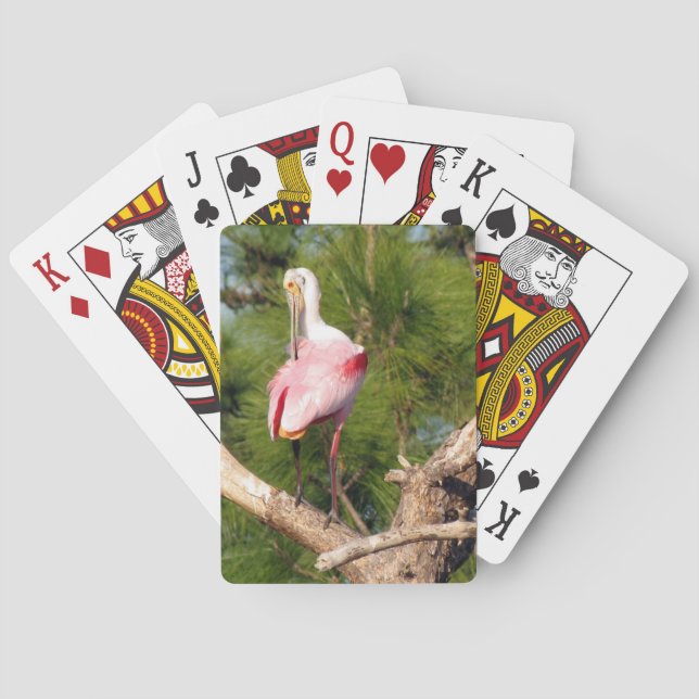 Roseate Spoonbill Playing Cards (Back)