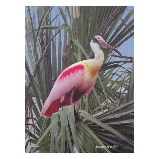 Roseate Spoonbill tablecloth (Front)