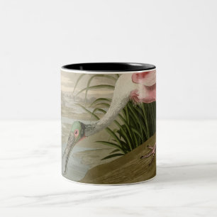 Roseate Spoonbill Two-Tone Coffee Mug