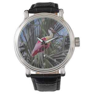 Roseate Spoonbill watch